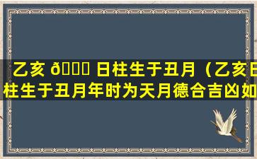 乙亥 🐛 日柱生于丑月（乙亥日柱生于丑月年时为天月德合吉凶如何 🪴 ）